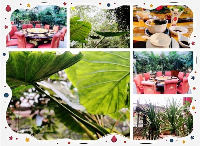 如何前往小黑龍魚館溪水家園店（尋甸小黑龍魚館溪水家園附近魚館溪水家園店何時(shí)開業(yè)）