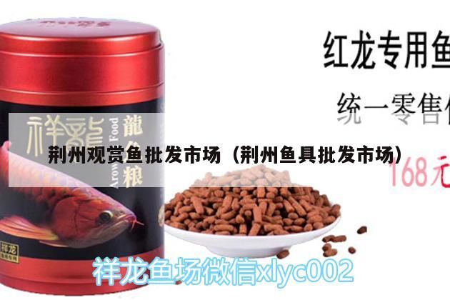 荊州觀賞魚批發市場（荊州魚具批發市場）（荊州最大的觀賞魚批發市場）