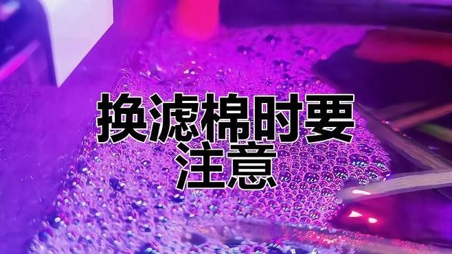 如何正確安裝和擺放過濾棉？