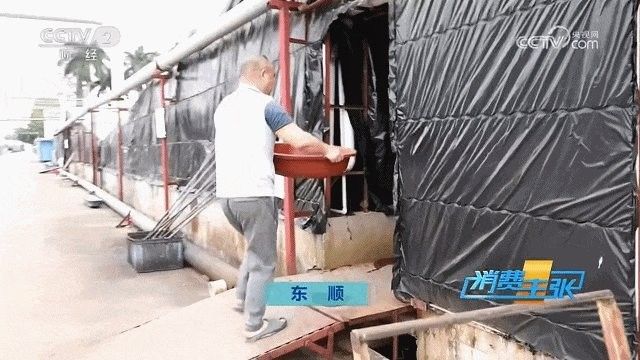 順德最出名三個魚（廣東順德魚類的名字叫順德魚生）