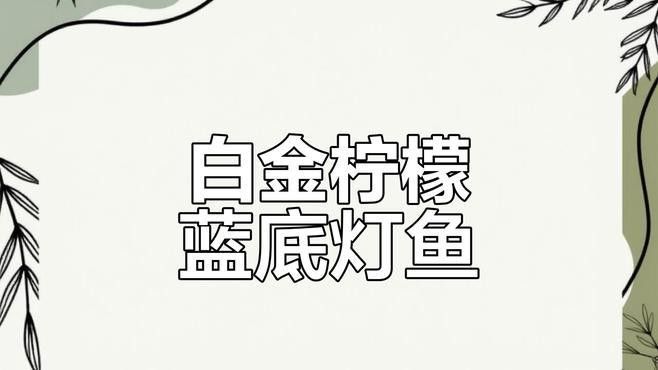 藍底魚缸適合養(yǎng)什么魚？（2025年適合新手飼養(yǎng)的十大海水魚排名第一的是誰）