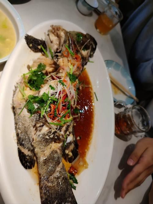 永城吃魚的地方（永城吃魚的地方有哪些）