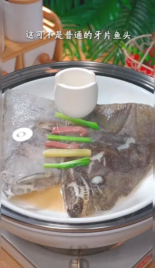 最好的鰈魚品牌（京東鰈魚品牌排行榜） 最好的鰈魚品牌（京東鰈魚品牌排行榜） 觀賞魚百科 第9張