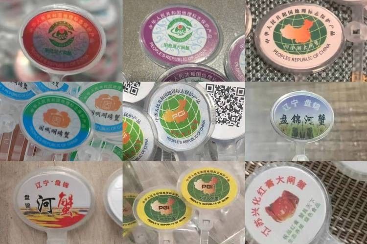 給我一張龍魚芯片的真偽對照圖（|安芯易品控課堂第1期魚芯片真偽對照圖）