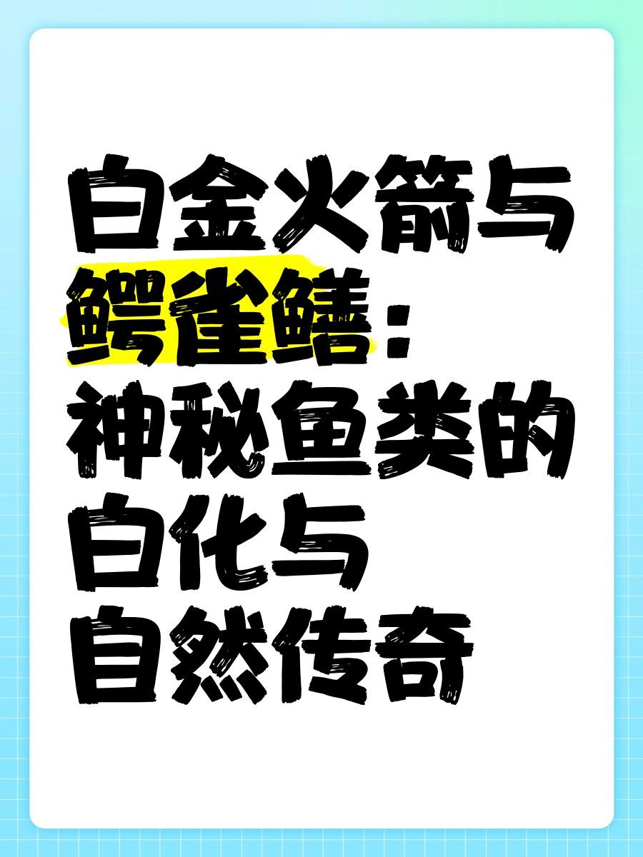 白化鱷雀鱔和普通鱷雀鱔有何區(qū)別 白化鱷雀鱔和普通鱷雀鱔有何區(qū)別 龍魚(yú)百科 第2張