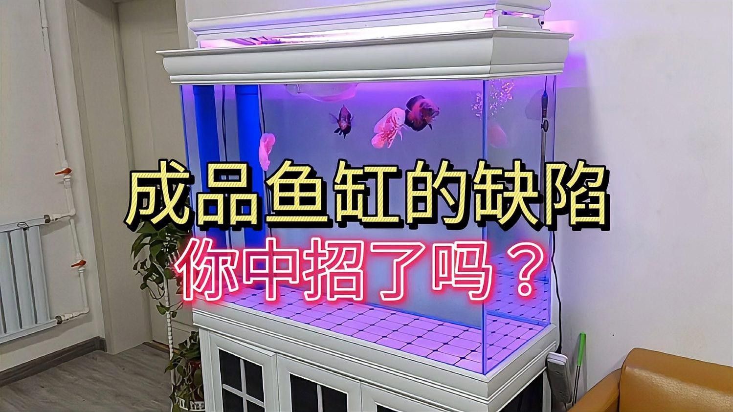 如何判斷成品缸的質(zhì)量？