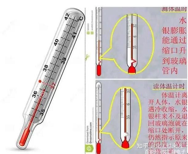 如何選擇適合金龍魚的溫度計(jì)？ 如何選擇適合金龍魚的溫度計(jì)？ 龍魚百科 第4張