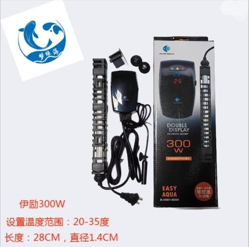 如何選擇適合金龍魚的溫度計(jì)？ 如何選擇適合金龍魚的溫度計(jì)？ 龍魚百科 第8張