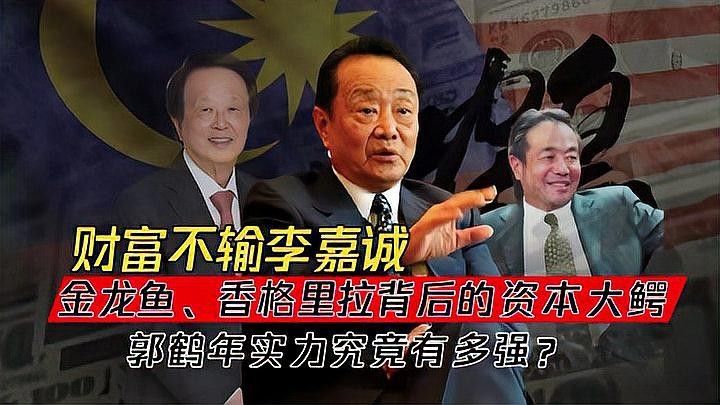 金龍魚實際控制人