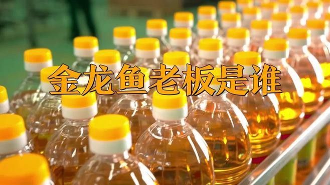 金龍魚實際控制人