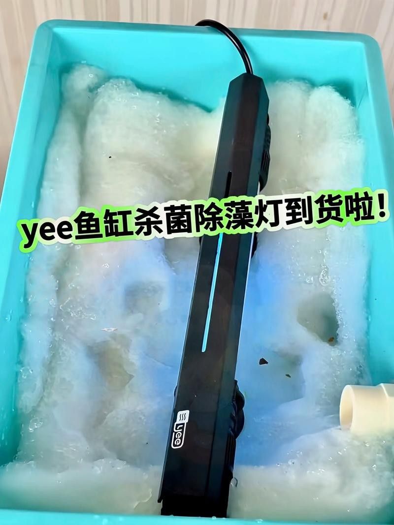 YEE燈管的除藻效果如何（yee燈管的除藻效果）