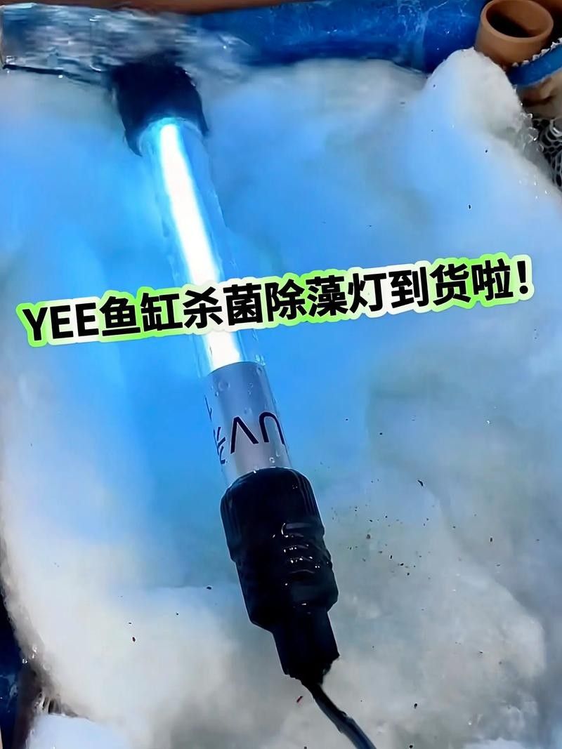 YEE燈管的除藻效果如何（yee燈管的除藻效果）