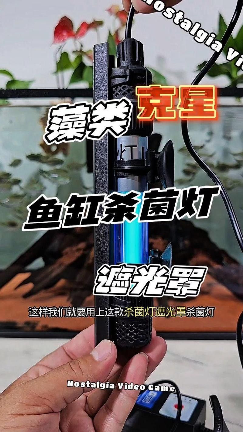 YEE燈管的除藻效果如何（yee燈管的除藻效果）