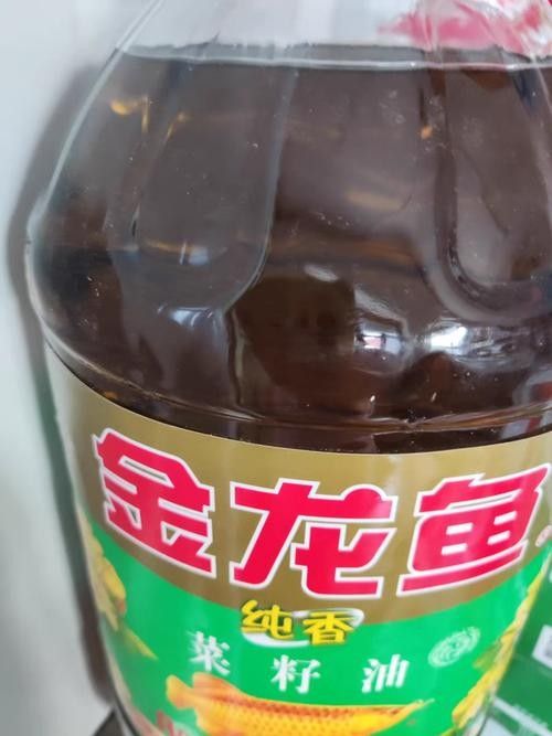 蘇右旗金龍魚