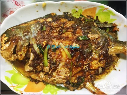 好看的雷龍魚圖片（色彩斑斕的雷龍魚）