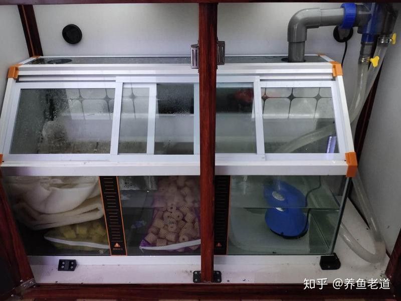 龍魚缸需要多大的底部過濾