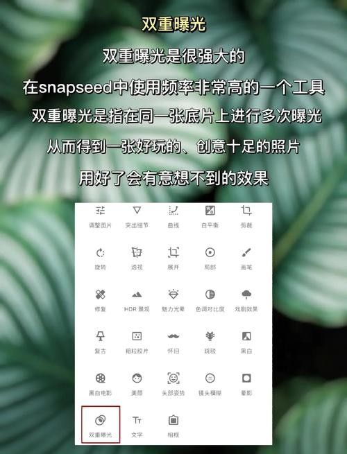 如何用Snapseed進行雙重曝光？（snapseed雙重曝光怎么玩）
