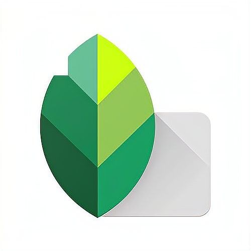 如何用Snapseed進行雙重曝光？（snapseed雙重曝光怎么玩）