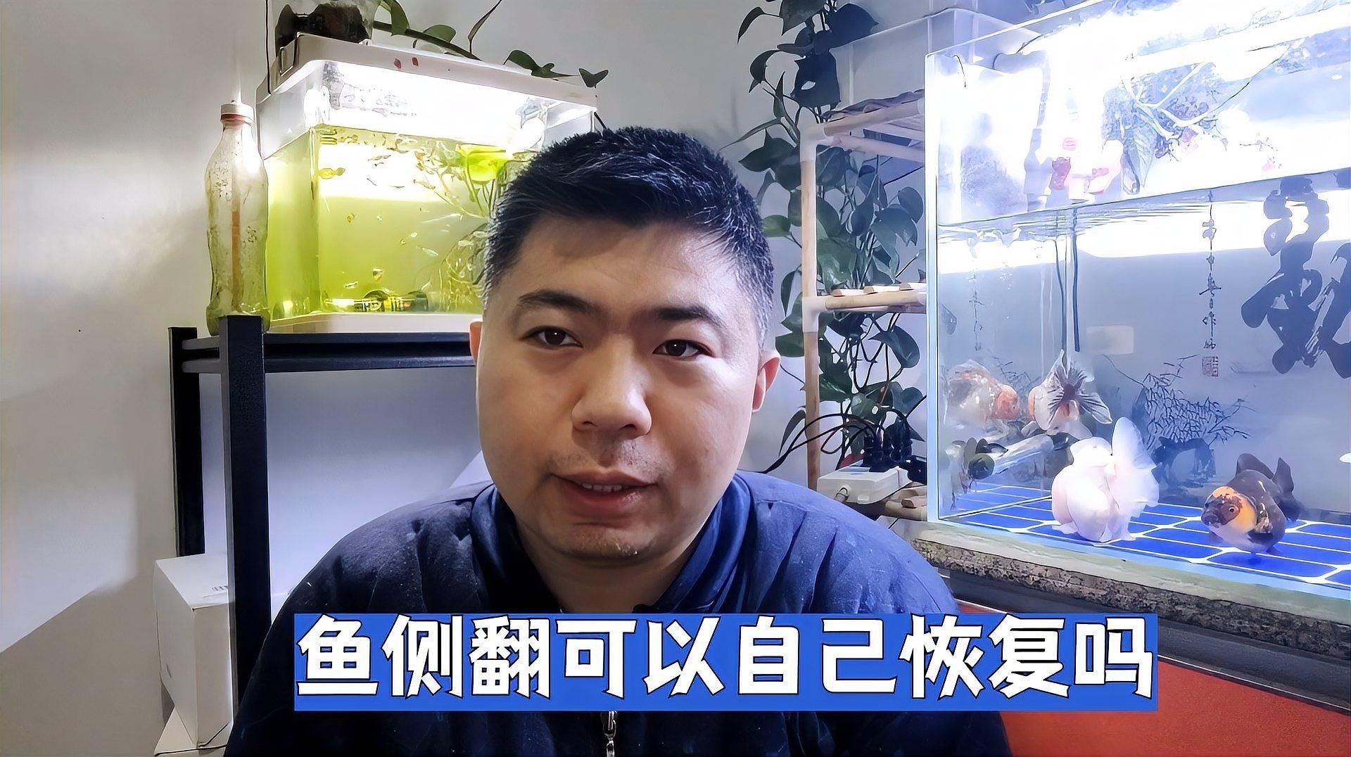 紅龍魚側身游會自愈嗎？（紅龍魚側身游是否能自愈）