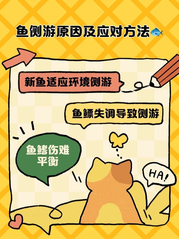 紅龍魚側身游會自愈嗎？（紅龍魚側身游是否能自愈）