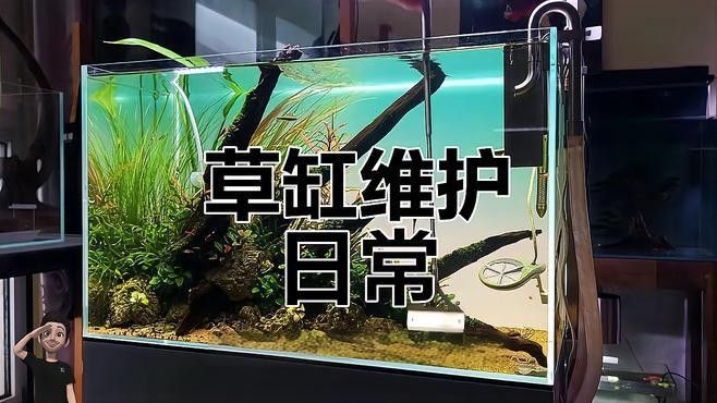 新手使用ADA會有哪些挑戰？