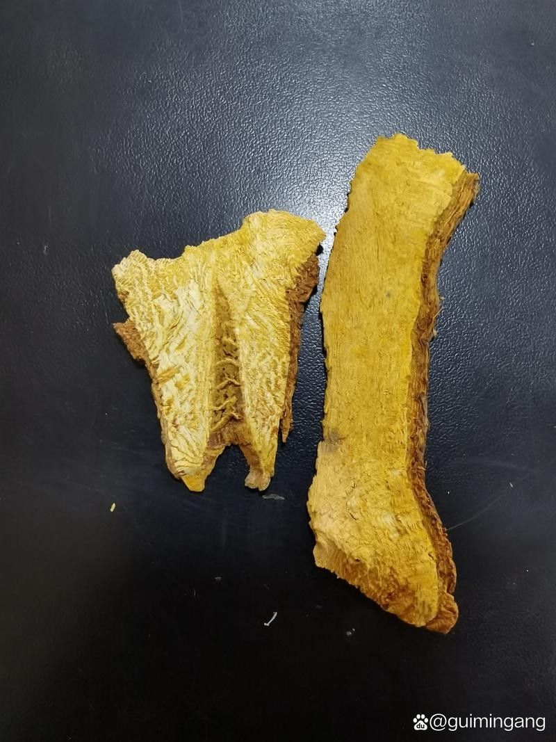 馬龍魚草藥圖片（“馬龍魚”在中醫(yī)中通常指的是“海龍”1,海龍是一種海洋中藥材）