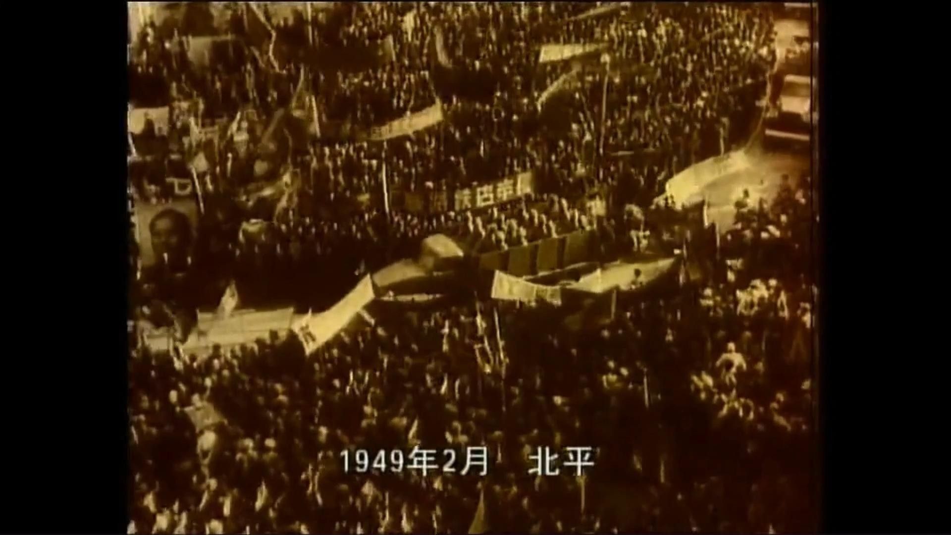 戰歌蘇虎的太太（《戰歌》原唱丹尼馬生活志聽蘇虎的太太是否真實存在） 戰歌蘇虎的太太（《戰歌》原唱丹尼馬生活志聽蘇虎的太太是否真實存在） 觀賞魚百科 第4張