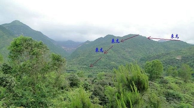 順騎龍穴有哪些典型特征