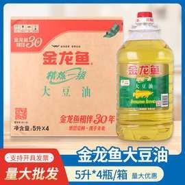 乾安金龍魚 乾安金龍魚 觀賞魚百科 第9張