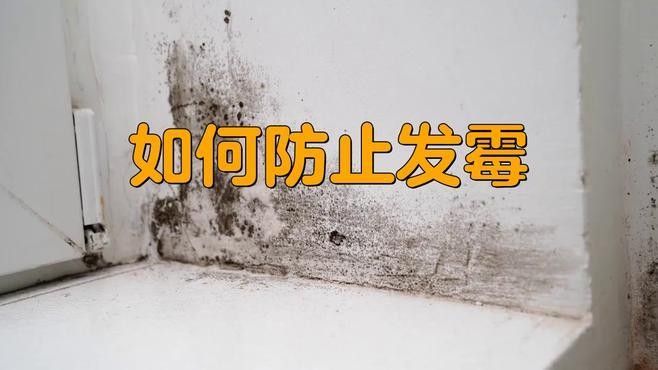 有哪些防霉措施？ 有哪些防霉措施？ 龍魚百科 第7張