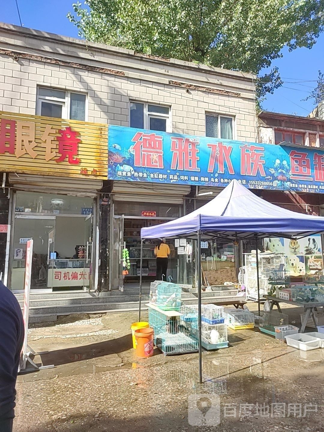 淶源哪個水族館龍魚好？祥龍魚場龍魚（河北保定淶源縣祥龍魚場龍魚養護技巧第56間教室） 淶源哪個水族館龍魚好？祥龍魚場龍魚（河北保定淶源縣祥龍魚場龍魚養護技巧第56間教室） 龍魚百科 第3張
