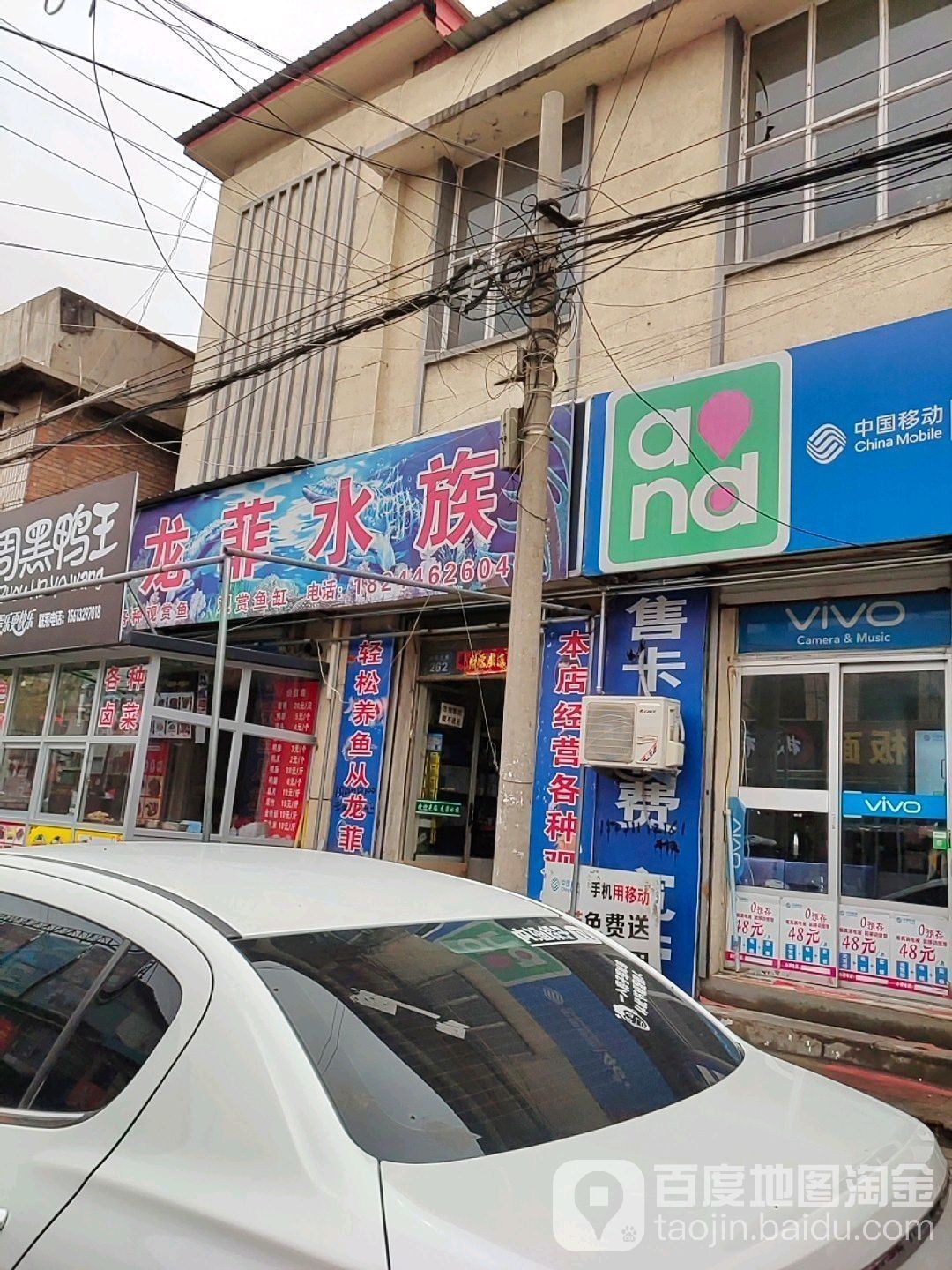 淶源哪個水族館龍魚好？祥龍魚場龍魚（河北保定淶源縣祥龍魚場龍魚養護技巧第56間教室） 淶源哪個水族館龍魚好？祥龍魚場龍魚（河北保定淶源縣祥龍魚場龍魚養護技巧第56間教室） 龍魚百科 第1張