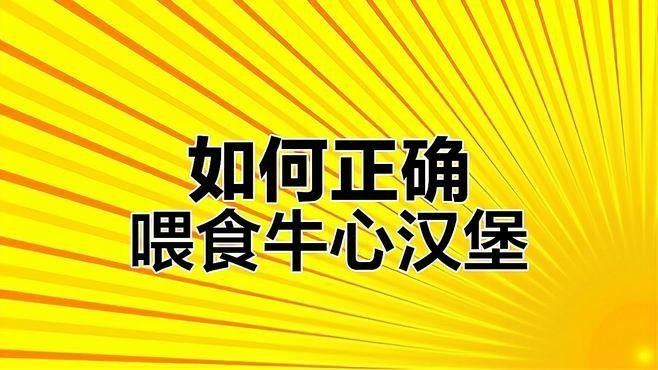 龍魚吃牛心漢堡的害處（龍魚吃牛心漢堡的危害） 龍魚吃牛心漢堡的害處（龍魚吃牛心漢堡的危害） 觀賞魚百科 第1張