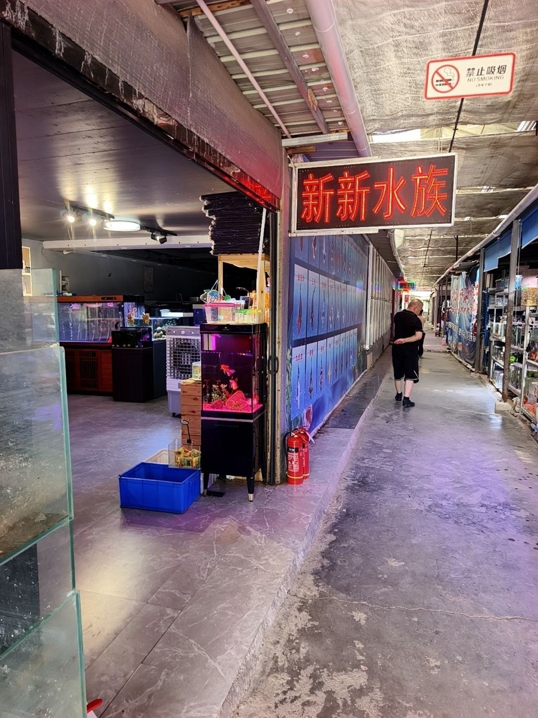 平頂山水族批發市場的具體地址在哪里（平頂山市水族批發市場的具體地址）