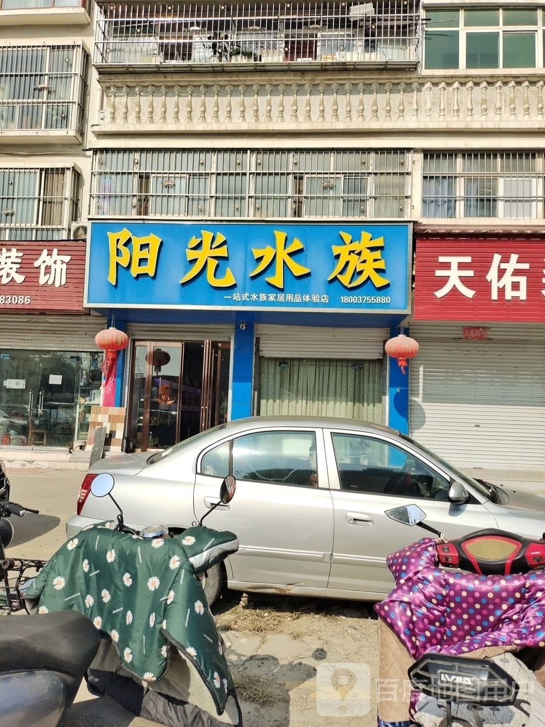 平頂山水族批發市場的具體地址在哪里（平頂山市水族批發市場的具體地址）