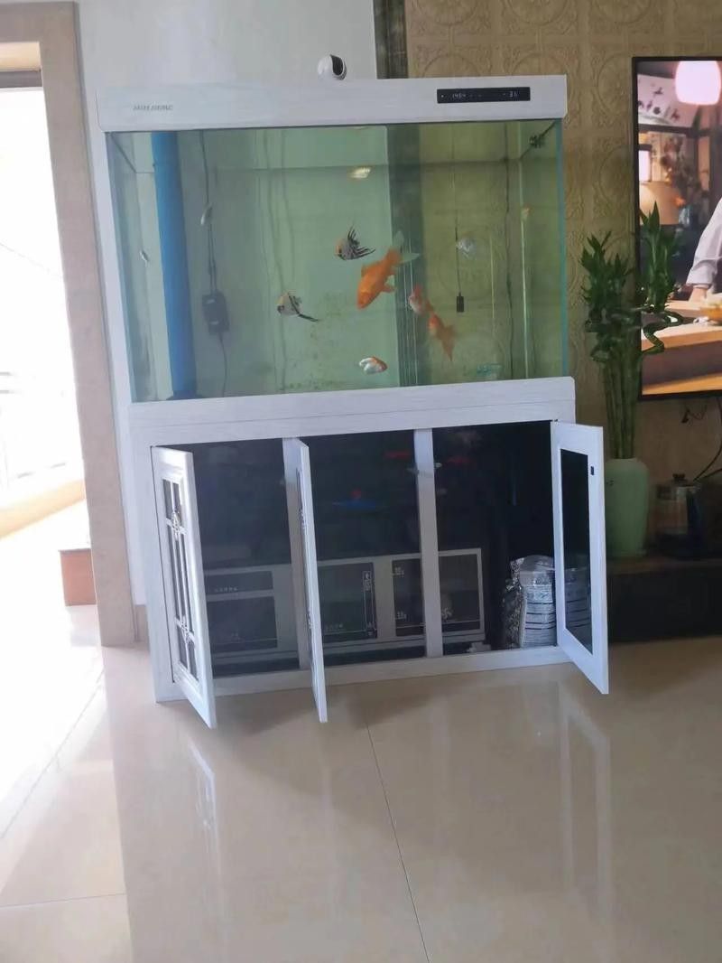 金漢江魚缸（新漢江魚缸的質量怎么樣）