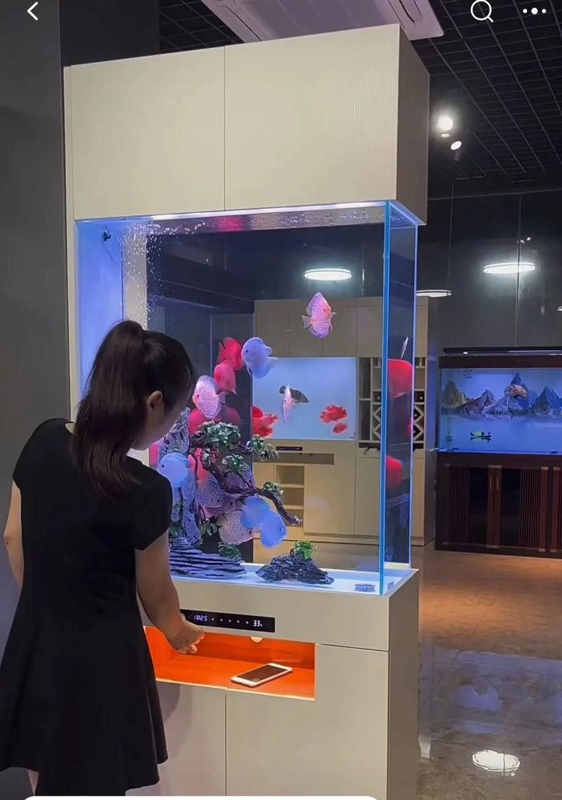 金漢江魚缸（新漢江魚缸的質量怎么樣）