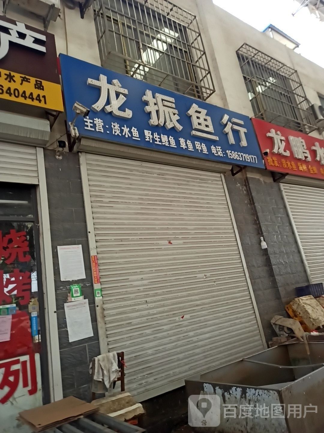 如何聯(lián)系到濟(jì)寧龍魚魚場