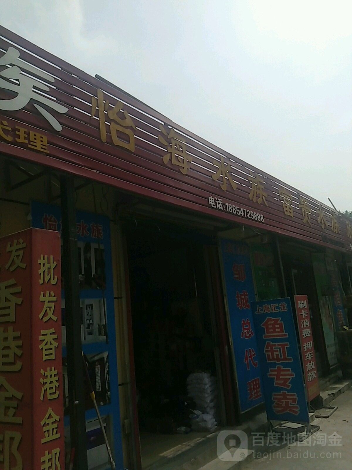 如何聯(lián)系到濟(jì)寧龍魚魚場