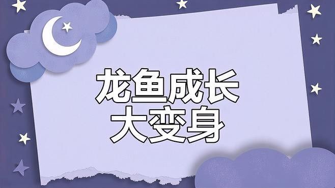 如何增大龍魚的尾鰭？