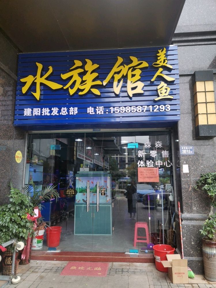 建陽龍魚