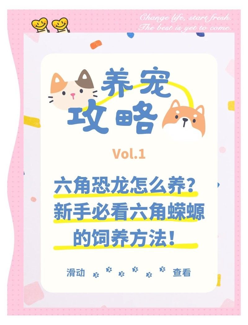 哪種恐龍魚最適合新手 哪種恐龍魚最適合新手 龍魚百科 第5張