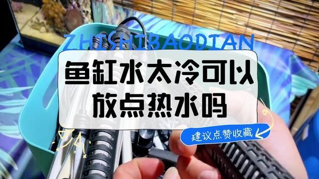 換水后如何調(diào)整水溫？（換水后如何調(diào)整水溫）