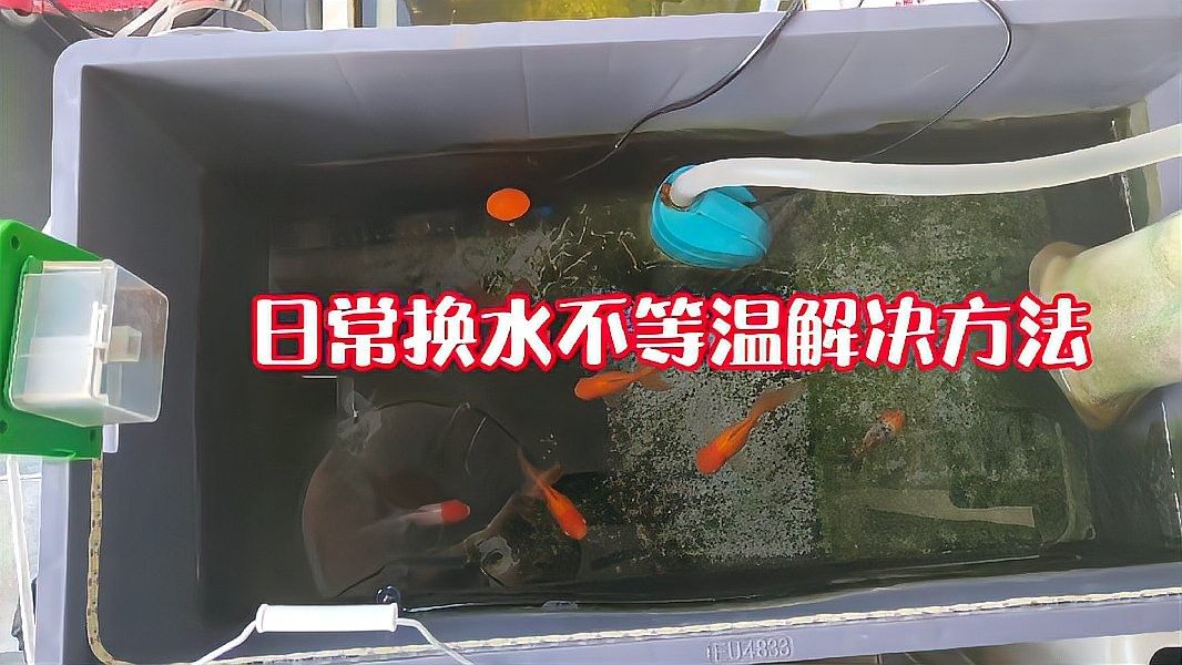 換水后如何調(diào)整水溫？（換水后如何調(diào)整水溫）