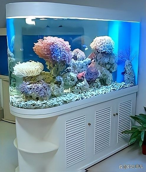 換水后如何調(diào)整水溫？（換水后如何調(diào)整水溫）