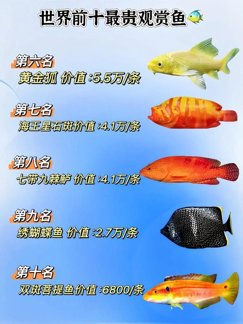 給我?guī)讖埐煌贩N的龍魚圖片
