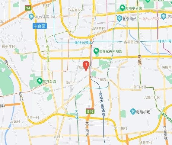 北京哪里還有賣金龍魚的？ 北京哪里還有賣金龍魚的？ 龍魚百科 第10張