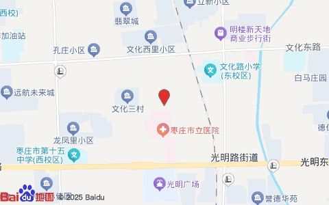棗莊魚鮮美訂餐電話龍頭路（山東棗莊魚鮮美訂餐電話龍頭路附近有哪些餐飲場所）