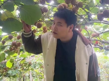 推薦一些憨胖的其他視頻