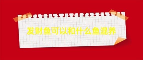黑云魚混養注意事項（黑云魚混養需要注意以下幾點） 黑云魚混養注意事項（黑云魚混養需要注意以下幾點） 觀賞魚百科 第4張